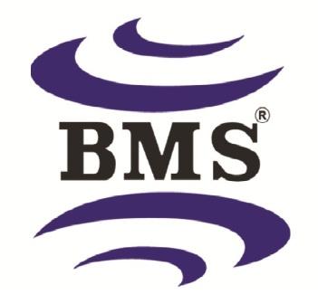 BMS İnşaat
